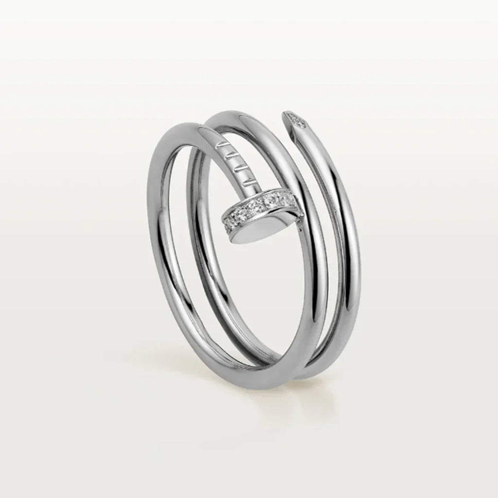 DOPPELTER NAGELRING | SILBER