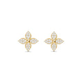 NICKY OHRRINGE | GOLD